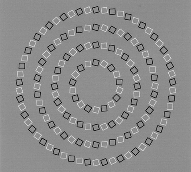 697105375_154580050823587.jpg