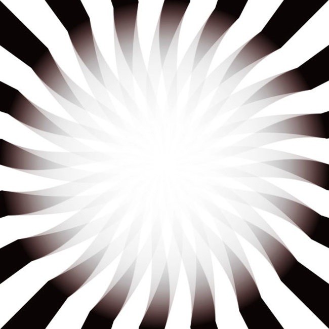 6982502_1012245905082222.jpg