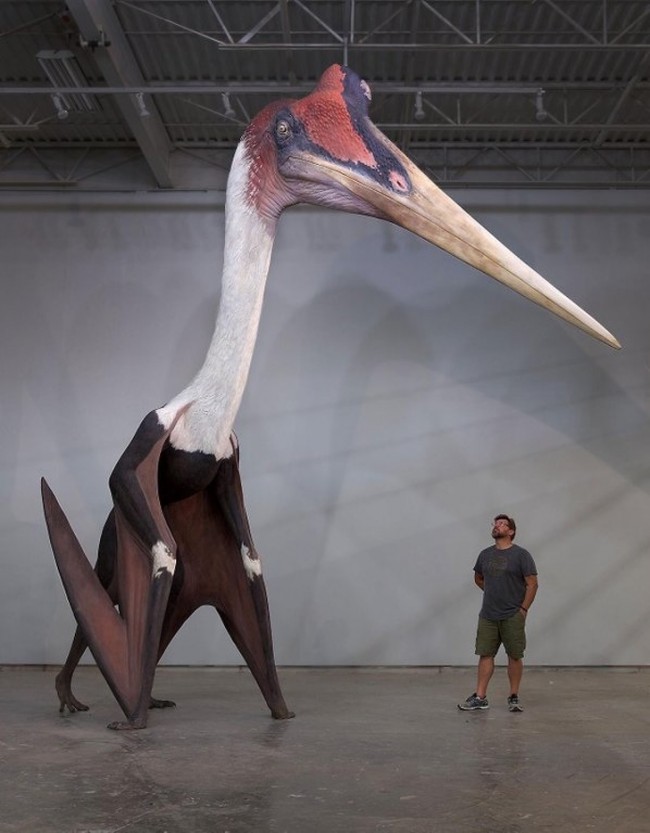 7670037_1011508241606766.jpg
