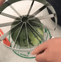 1494989418_620003522680757.gif