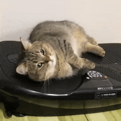 1779351028_125721910410666.gif