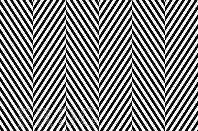 1838959376_422210808003191.jpg