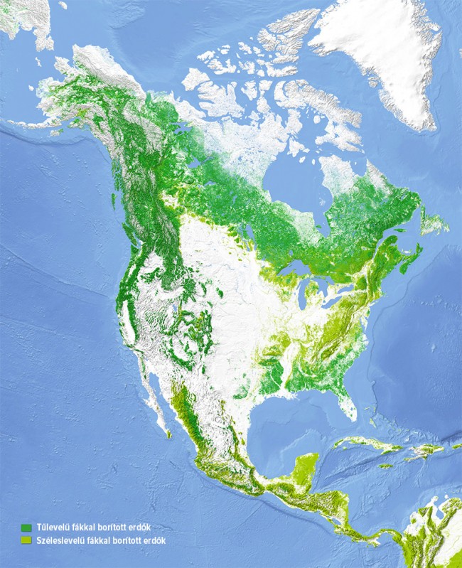 226619119_570561331900416.jpg