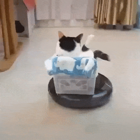 467425635_1359756919104996.gif